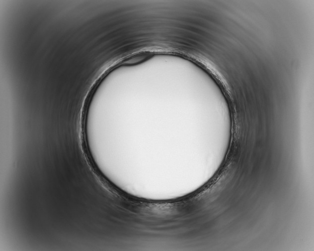 X0000093530845200711091756