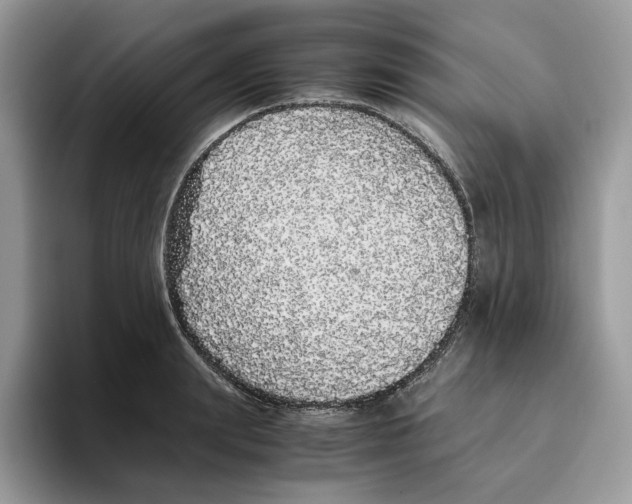 X0000093530847200711091756