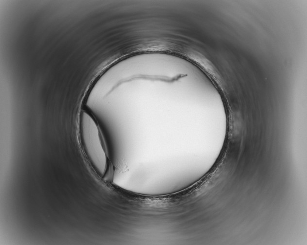 X0000093530850200711091756