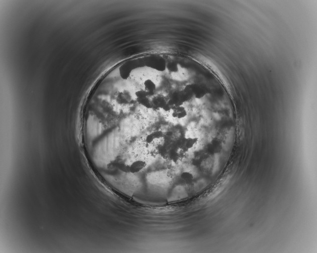 X0000093530851200711091756