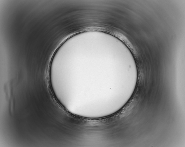 X0000093530852200711091756