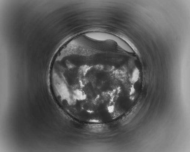 X0000093530853200711091756