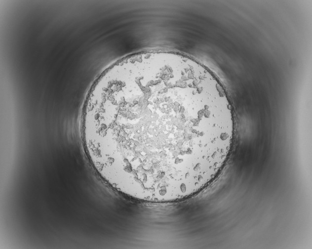 X0000093530856200711091756