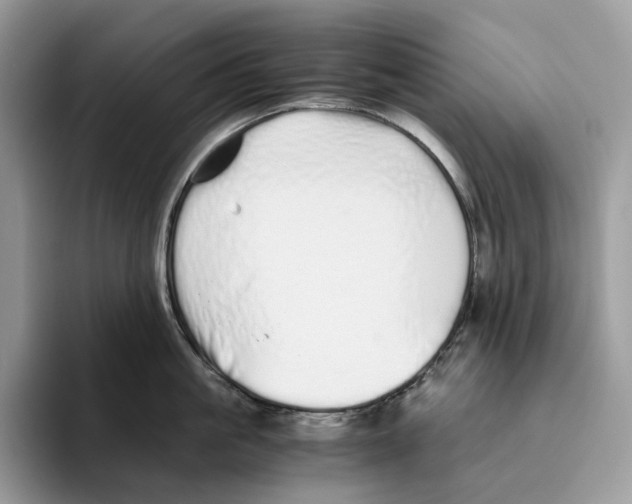 X0000093530861200711091756