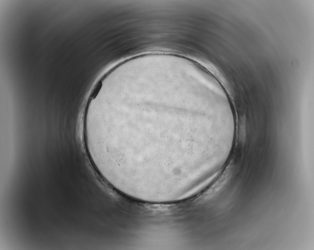 X0000093530862200711091756