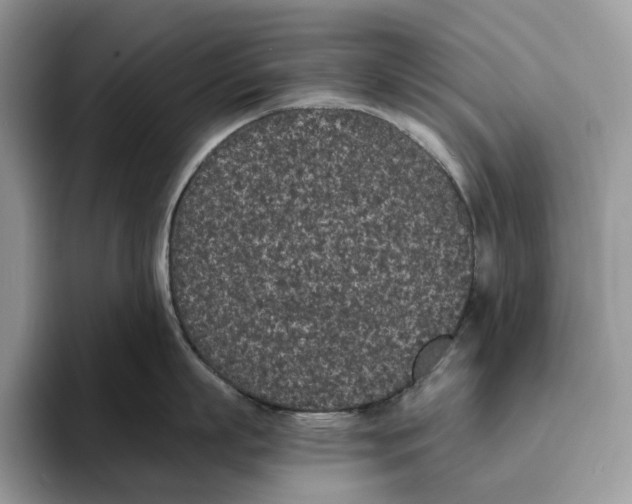X0000093530863200711091756