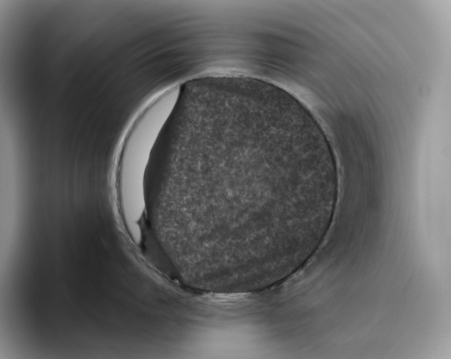 X0000093530864200711091756
