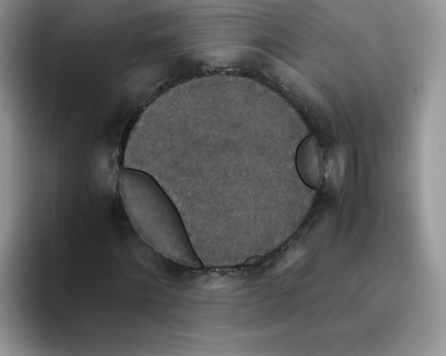 X0000093530868200711091756