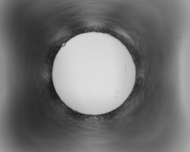 X0000093530869200711091756