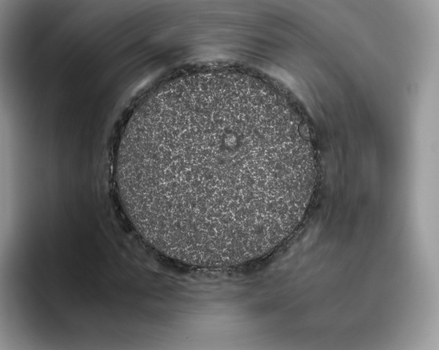 X0000093530871200711091756