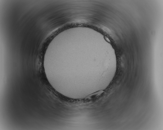 X0000093530872200711091756