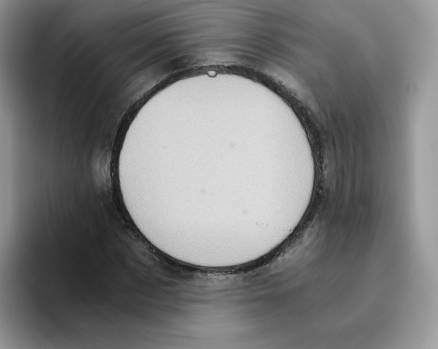 X0000093530873200711091756