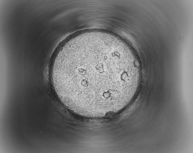 X0000093530875200711091756