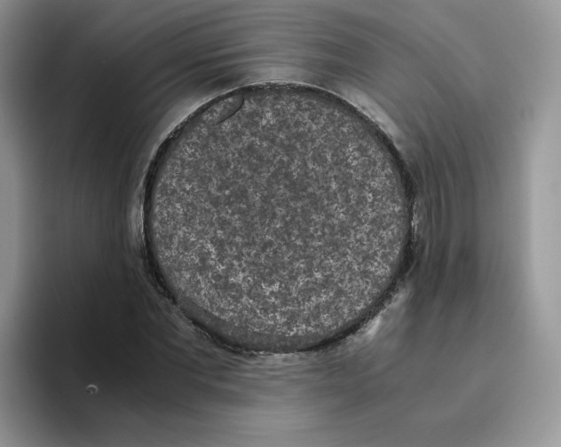 X0000093530877200711091756