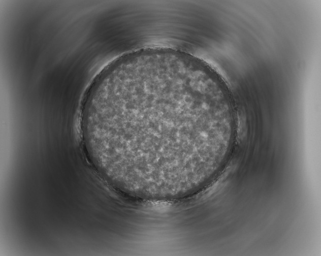 X0000093530878200711091756