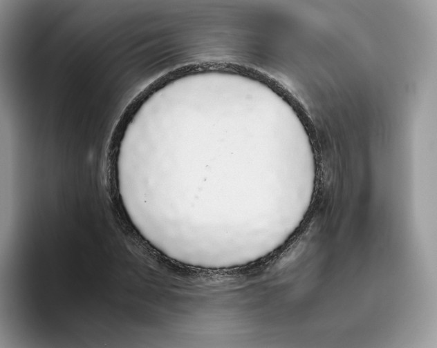 X0000093530879200711091756