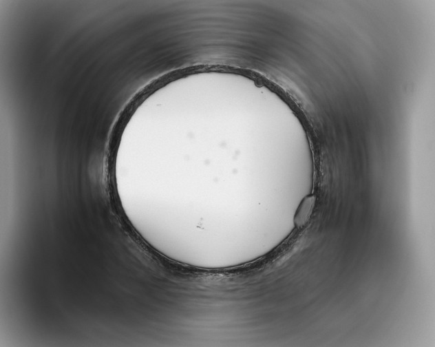 X0000093530880200711091756