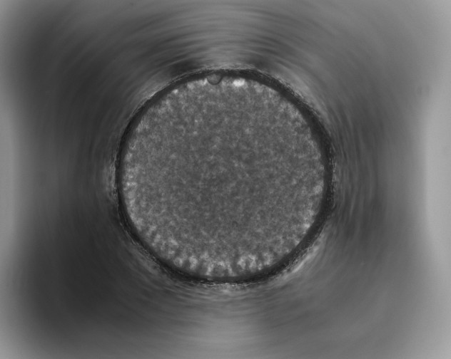 X0000093530881200711091756
