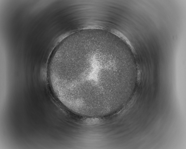 X0000093530882200711091756
