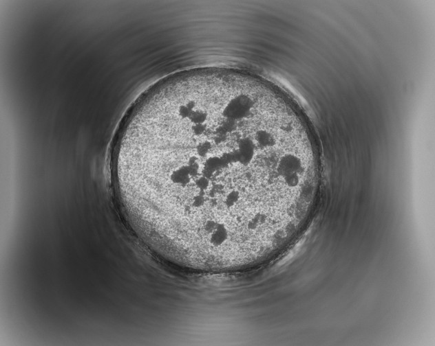X0000093530883200711091756