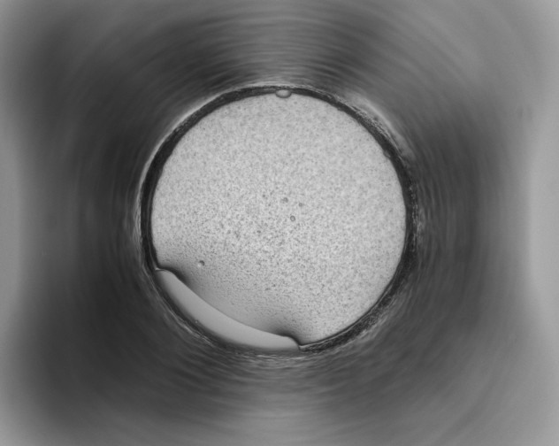 X0000093530884200711091756
