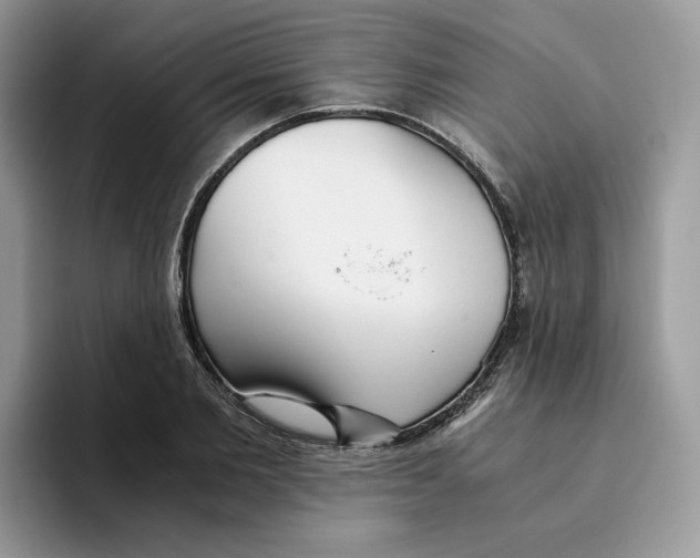 X0000093530885200711091756