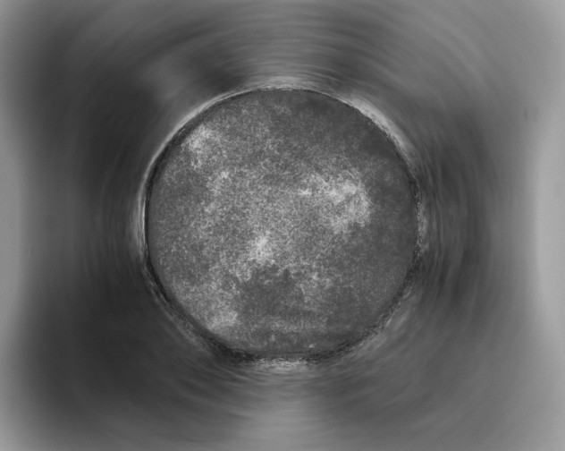 X0000093530886200711091756
