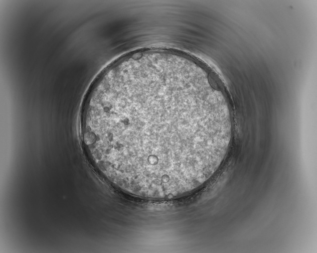 X0000093530887200711091756