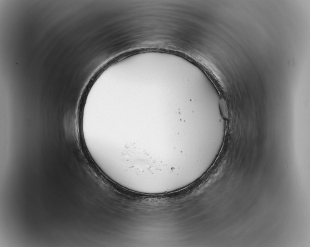 X0000093530888200711091756