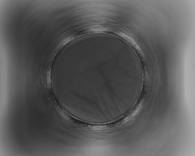 X0000093530889200711091756