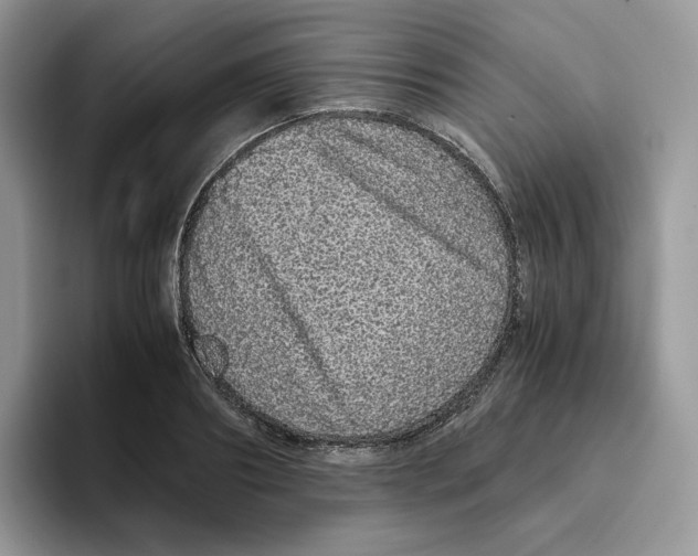 X0000093530890200711091756