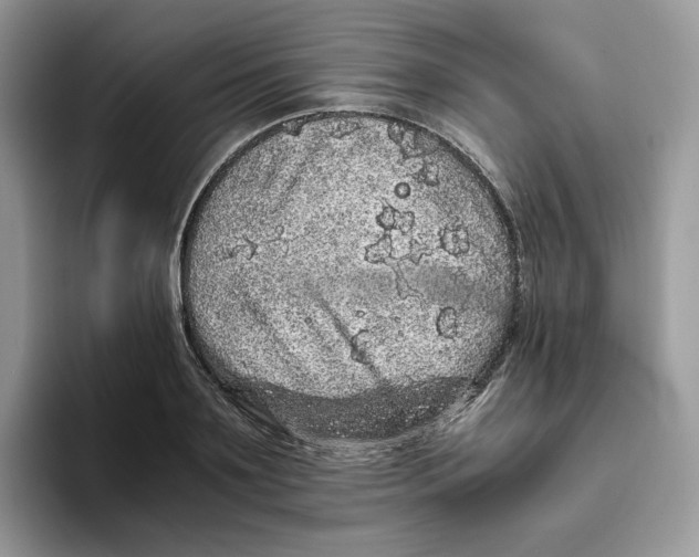 X0000093530891200711091756