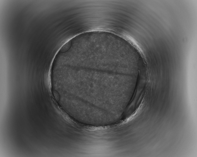 X0000093530892200711091756