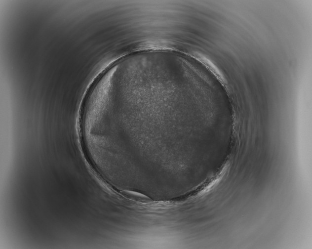 X0000093530893200711091756