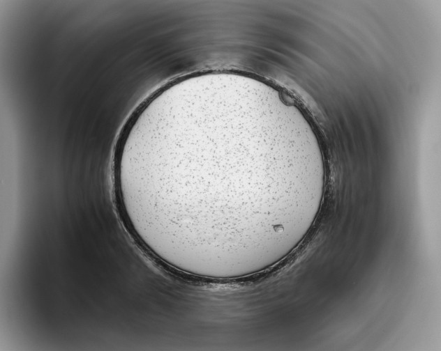 X0000093530894200711091756