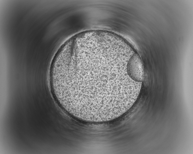 X0000093530895200711091756