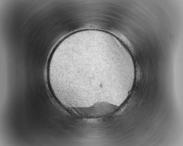 X0000093530896200711091756