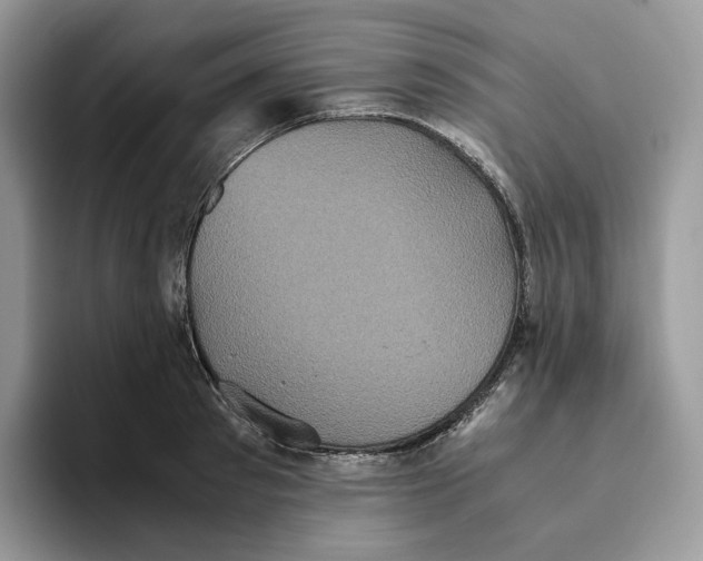 X0000093530897200711091756