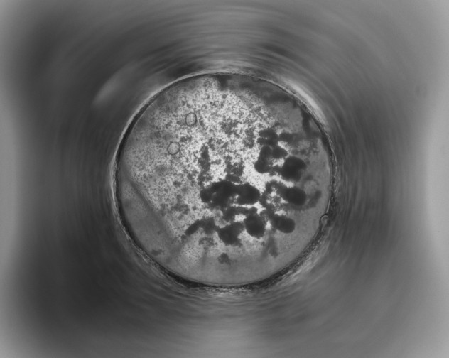 X0000093530899200711091755