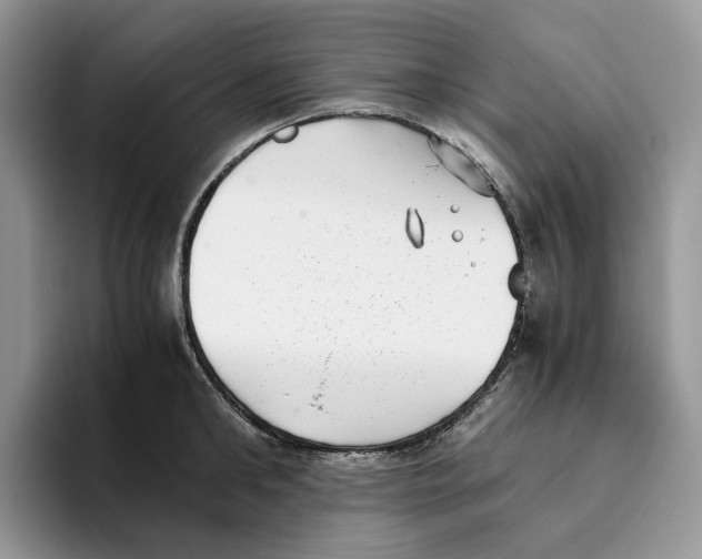 X0000093530902200711091755