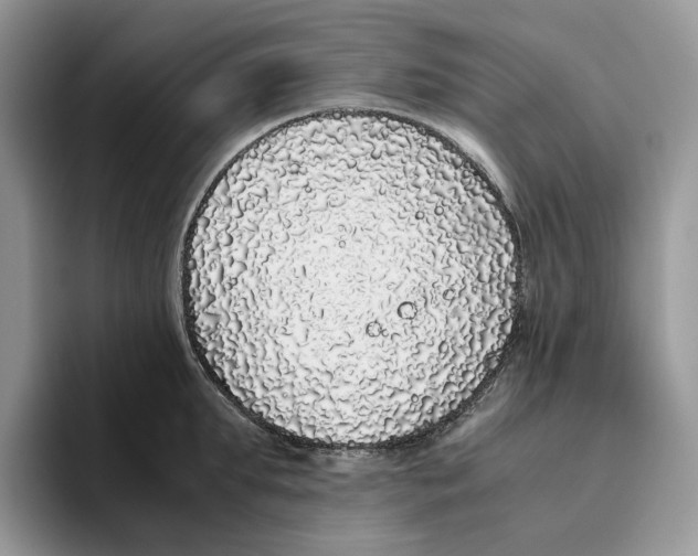 X0000093530903200711091755