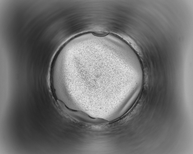 X0000093530904200711091755