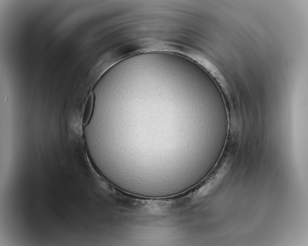 X0000093530905200711091755