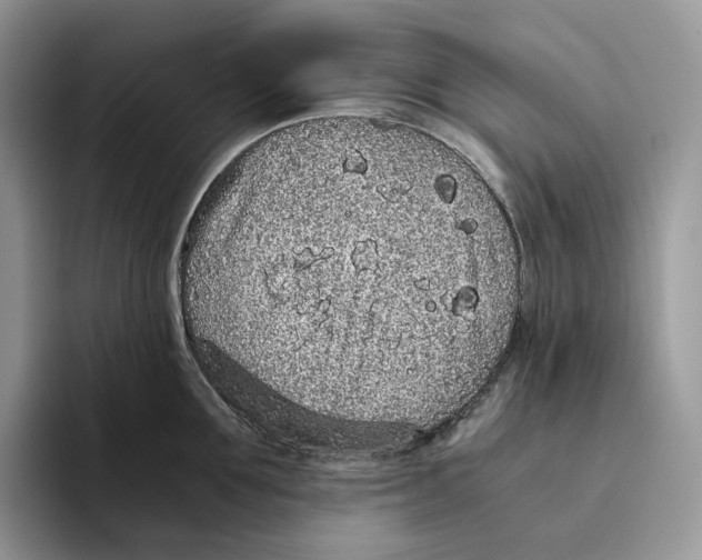 X0000093530907200711091755