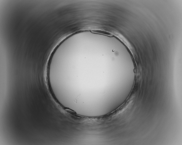 X0000093530909200711091755