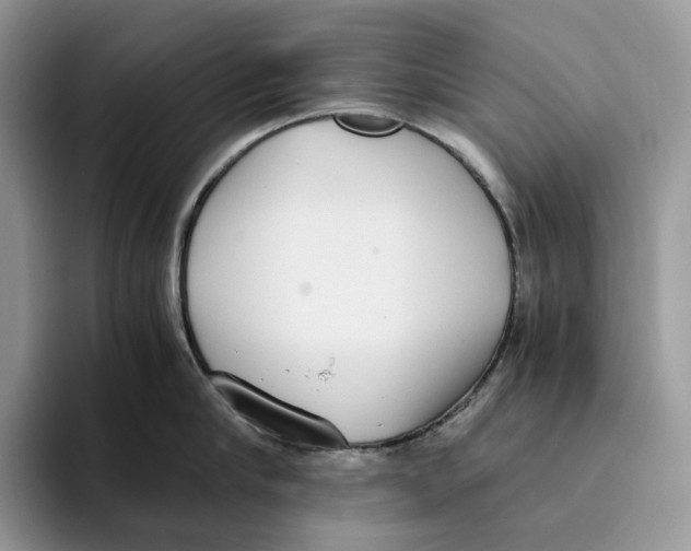 X0000093530910200711091755