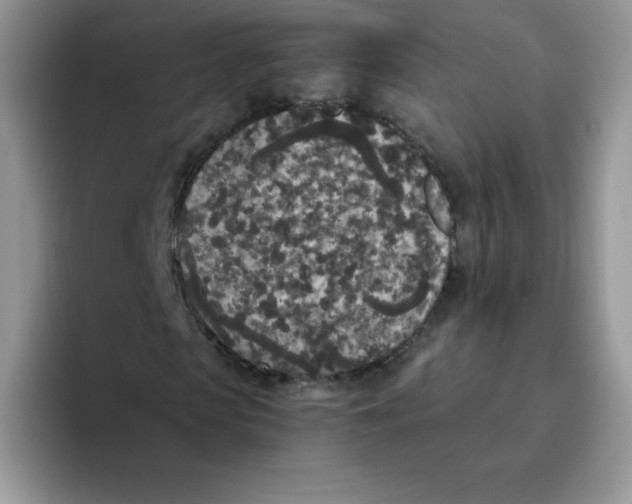 X0000093530913200711091755