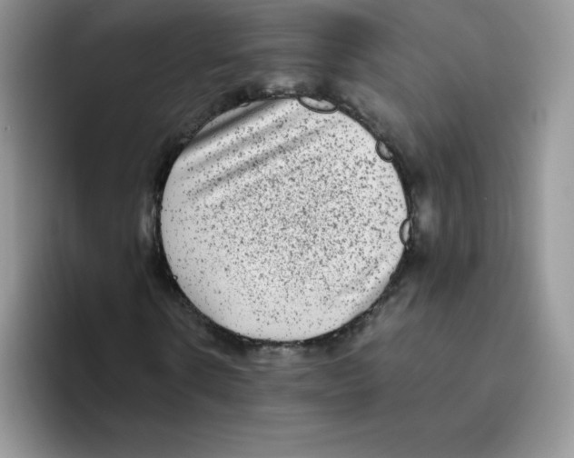 X0000093530914200711091755