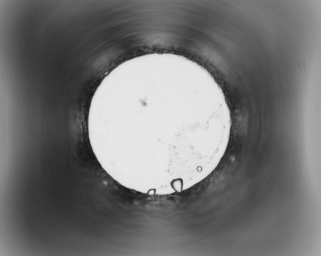 X0000093530918200711091755