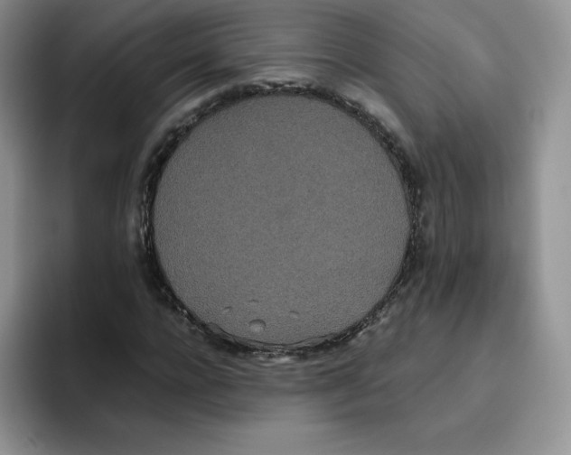 X0000093530920200711091755